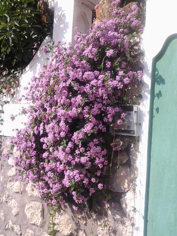 B&B Angelide อนากาปรี ภายนอก รูปภาพ